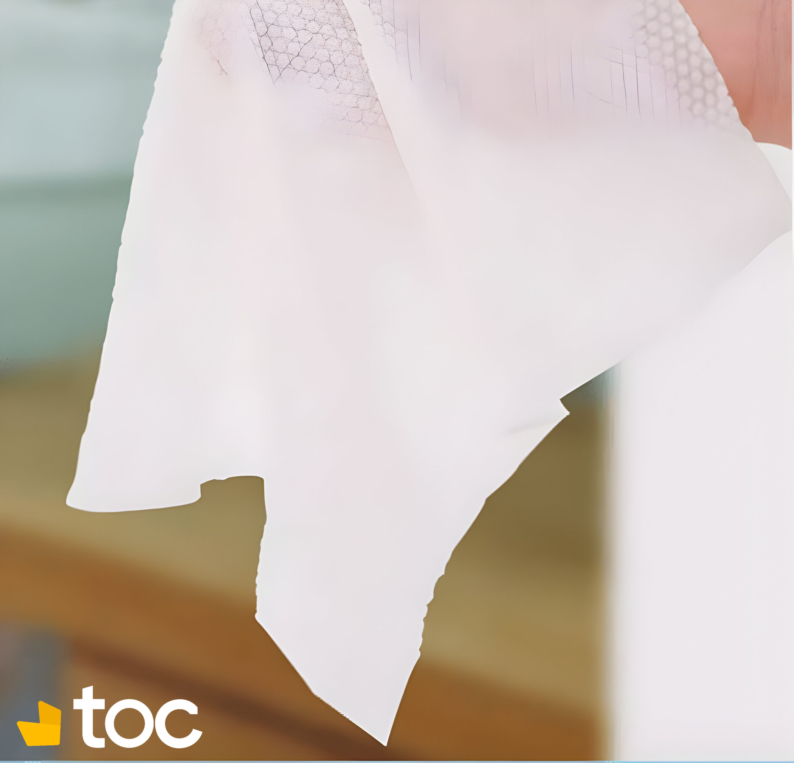 Lot de 2 Packs de serviette compressée jetable (40 pcs)